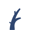 Artykuły o schorzeniach